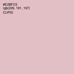 #E2BFC5 - Cupid Color Image