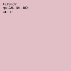 #E2BFC7 - Cupid Color Image