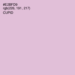 #E2BFD9 - Cupid Color Image