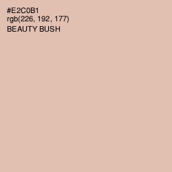 #E2C0B1 - Beauty Bush Color Image