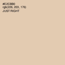 #E2CBB0 - Just Right Color Image