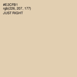 #E2CFB1 - Just Right Color Image