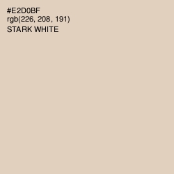 #E2D0BF - Stark White Color Image