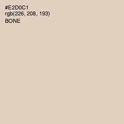 #E2D0C1 - Bone Color Image