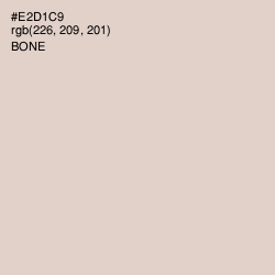 #E2D1C9 - Bone Color Image