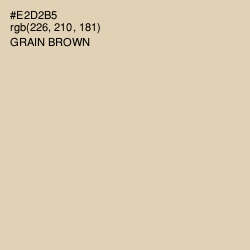 #E2D2B5 - Grain Brown Color Image