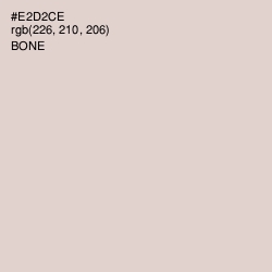 #E2D2CE - Bone Color Image