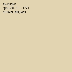#E2D3B1 - Grain Brown Color Image