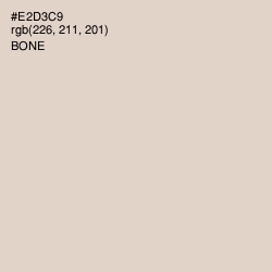 #E2D3C9 - Bone Color Image