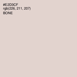 #E2D3CF - Bone Color Image