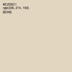 #E2D6C1 - Bone Color Image