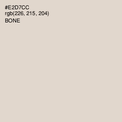#E2D7CC - Bone Color Image
