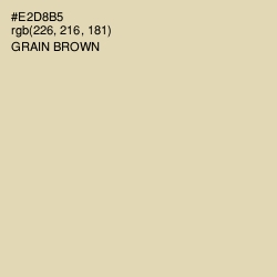 #E2D8B5 - Grain Brown Color Image