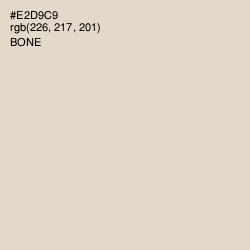 #E2D9C9 - Bone Color Image