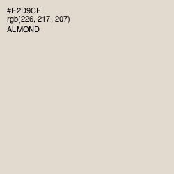 #E2D9CF - Almond Color Image