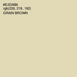 #E2DAB6 - Grain Brown Color Image