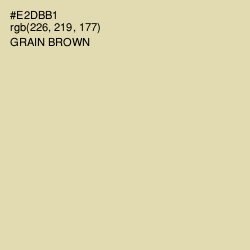 #E2DBB1 - Grain Brown Color Image
