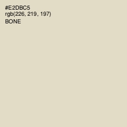 #E2DBC5 - Bone Color Image