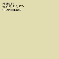#E2DCB1 - Grain Brown Color Image