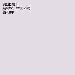 #E2DFE4 - Snuff Color Image