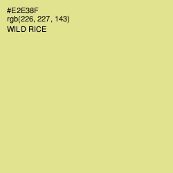 #E2E38F - Wild Rice Color Image