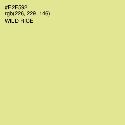 #E2E592 - Wild Rice Color Image