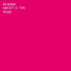 #E30068 - Rose Color Image