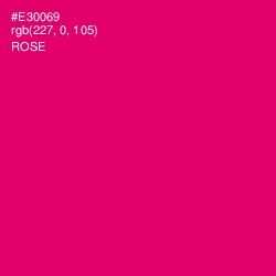 #E30069 - Rose Color Image