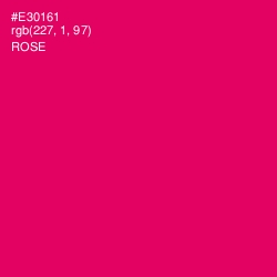 #E30161 - Rose Color Image