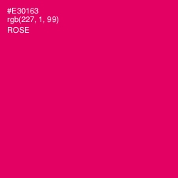 #E30163 - Rose Color Image
