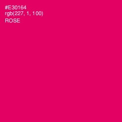 #E30164 - Rose Color Image