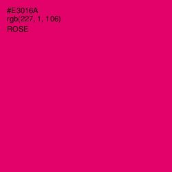 #E3016A - Rose Color Image