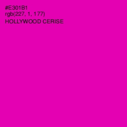 #E301B1 - Hollywood Cerise Color Image