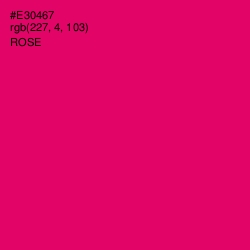#E30467 - Rose Color Image