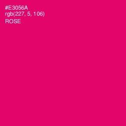 #E3056A - Rose Color Image