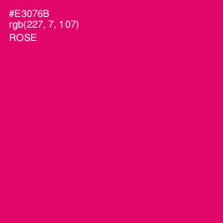 #E3076B - Rose Color Image