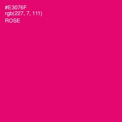 #E3076F - Rose Color Image