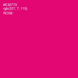 #E30773 - Rose Color Image