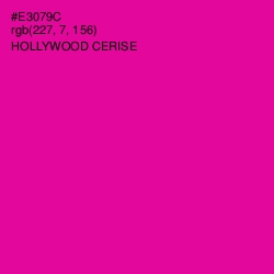 #E3079C - Hollywood Cerise Color Image