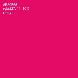 #E30B65 - Rose Color Image