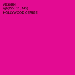 #E30B91 - Hollywood Cerise Color Image