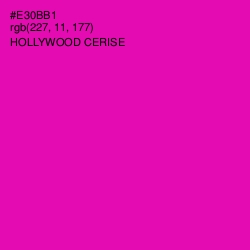 #E30BB1 - Hollywood Cerise Color Image