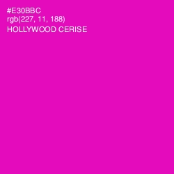 #E30BBC - Hollywood Cerise Color Image