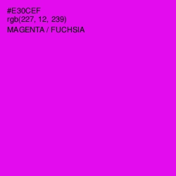 #E30CEF - Magenta / Fuchsia Color Image