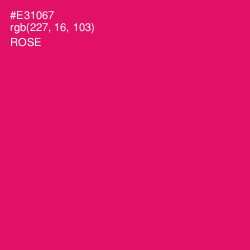 #E31067 - Rose Color Image