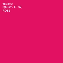 #E31161 - Rose Color Image