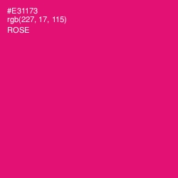 #E31173 - Rose Color Image