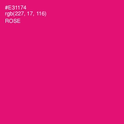 #E31174 - Rose Color Image