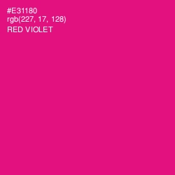 #E31180 - Red Violet Color Image