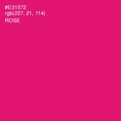 #E31572 - Rose Color Image